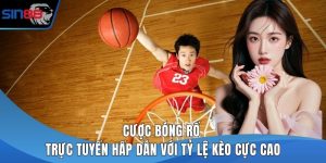 Cược bóng rổ